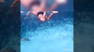 InShot_20260215_172755976.mp4