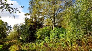 Зарастут тропинки и дорожки...