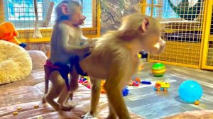 Тося вернулась с прогулки и ВЦЕПИЛАСЬ в МАМУ Люсю как родная, боится отпустить ее хоть на минуту)