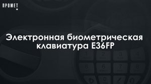 Электронная биометрическая клавиатура E36FP