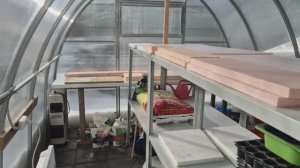 4 марта. Завтра переношу рассаду в теплицу. Как готовлю?