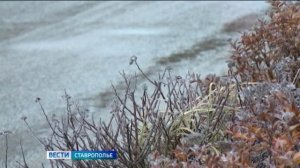 Зима пытается вернуться на Ставрополье