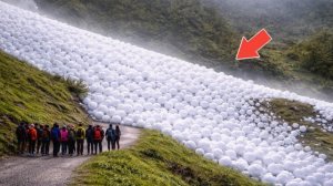 75 невероятных природных моментов снятых на видеокамеру.