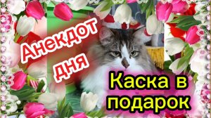 Анекдот дня к 8 МАРТА!