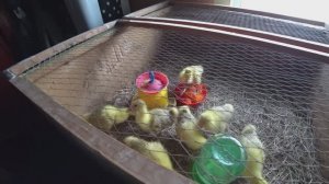 Влог от 26.04.2022