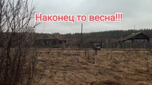 Ранняя весна!!!Земля местами ещё не оттаила а я уже Копаю!!!