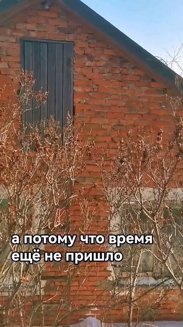 Идущий к своей цели всегда к ней прийдёт