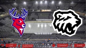 Торпедо - Трактор