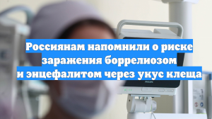 Россиянам напомнили о риске заражения боррелиозом и энцефалитом через укус клеща