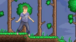 Затмение жизни(Часть 30(Terraria))