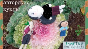 Истории из жизни куклы и игрушки