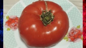 Каталог томатов на 2026 год.  Новинок 2025 года. Часть 9.  т. 89229284031