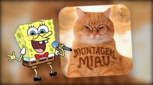 МОНТАГЕМ МЯУ! ГУБКА БОБ ПРОТИВ МЕМА! ЧУМОВОЕ ИСПОЛНЕНИЕ Sponge Bob РЕАКЦИЯ