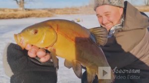 зимний линь клюёт со льда!и такое бывает!