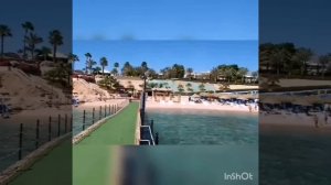 MOV_20260224_191747_303.mp4