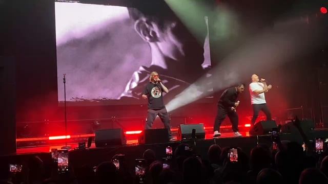 Иванушки - Снегири (короткое)