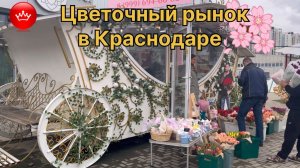 💐В Краснодаре начался цветочный бум перед 8 марта.