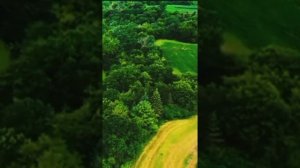 Amazon🌳/ no GAFAM ❗