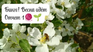 Бинго! Весна идёт. Вязальная активность. Отчет 1. 🧶🌱