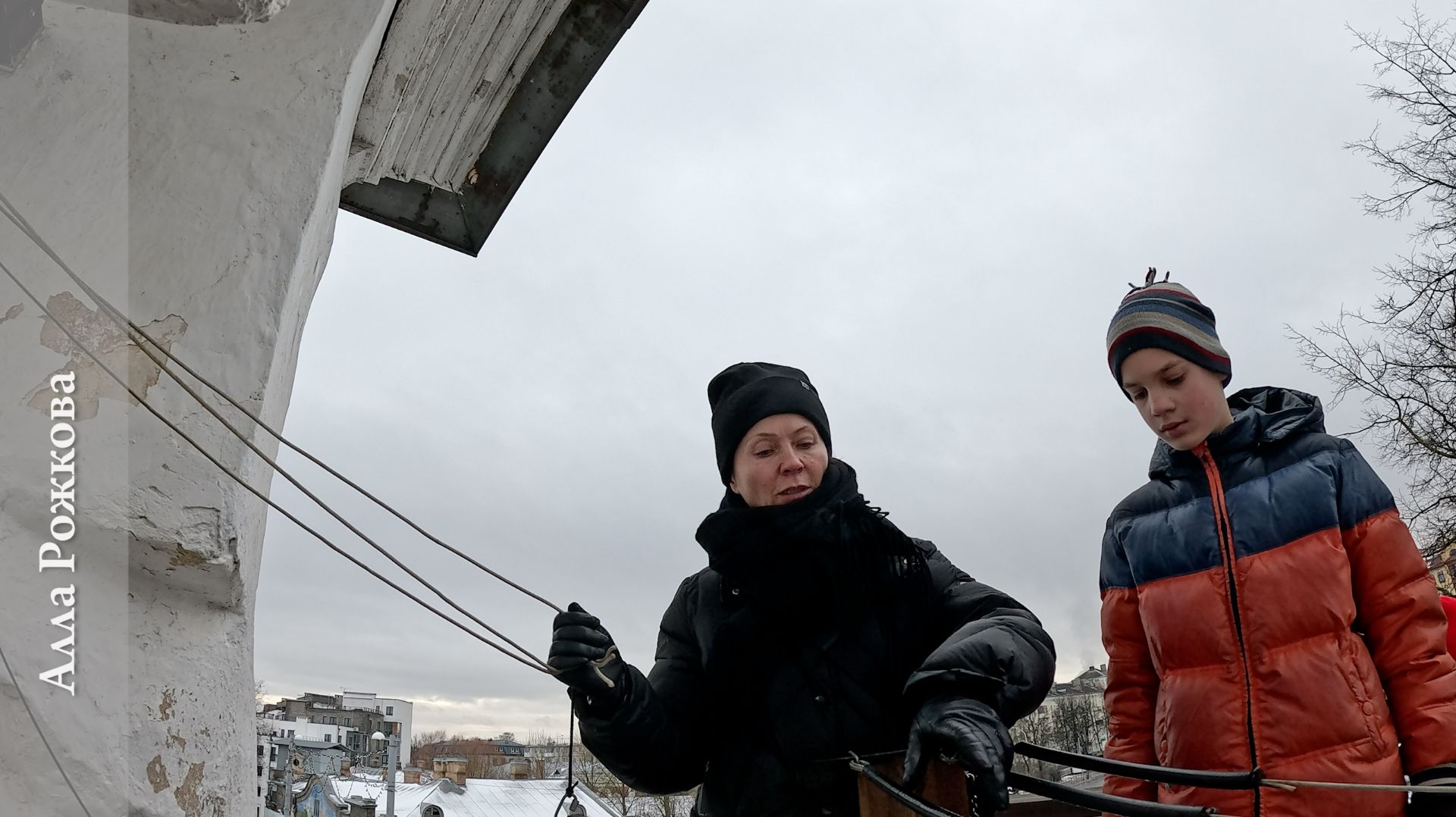 Колокольный звон, Алла Рожкова. Звонница церкви Успения Богородицы с Пароменья (Псков), 8.01.2025