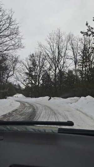 Участок Лес (6 соток)