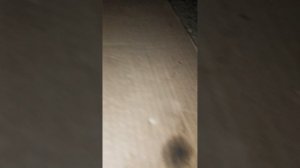 Hyundai hd-78 ,дв.d4dd Регулировка клапанов.