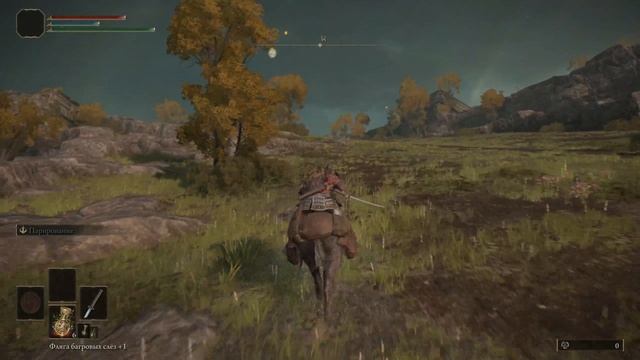 ПРОХОЖДЕНИЕ "ELDEN RING" СЕРИЯ №3 ТРЯПОЧНЫЙ БОСС И ВЕДЬМА