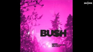 Bush — Glycerine