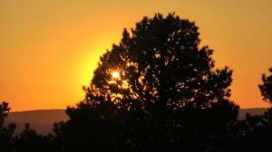 Взять бы в руки мне карандаш