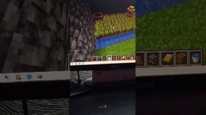 жители в Майнкрафте