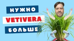 Ветивер с моря дул 🌬️ OM Parfums Vladivostok