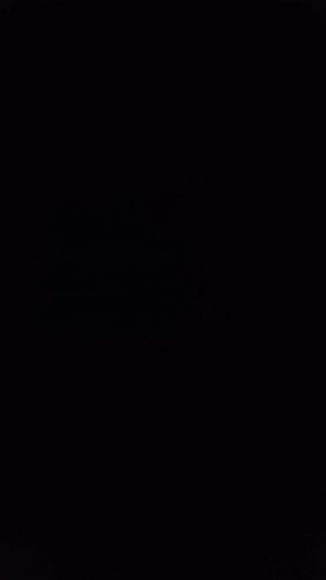 первое трансляция будет без лица