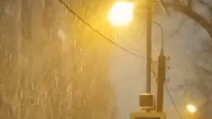 Осыпалось небо. Надежда Семёнова