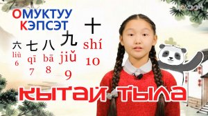 Кытай тыла 2