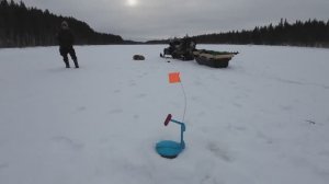 БОЛЬШОЕ ТАЁЖНОЕ ПРИКЛЮЧЕНИЕ. НА РЫБАЛКУ НА СЕВЕР КАРЕЛИИ. НА СНЕГОХОДЕ С ПАЛАТКОЙ В ТАЙГУ.