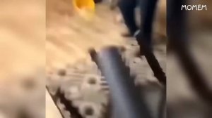 some OFFENSIVE MEMES my bros