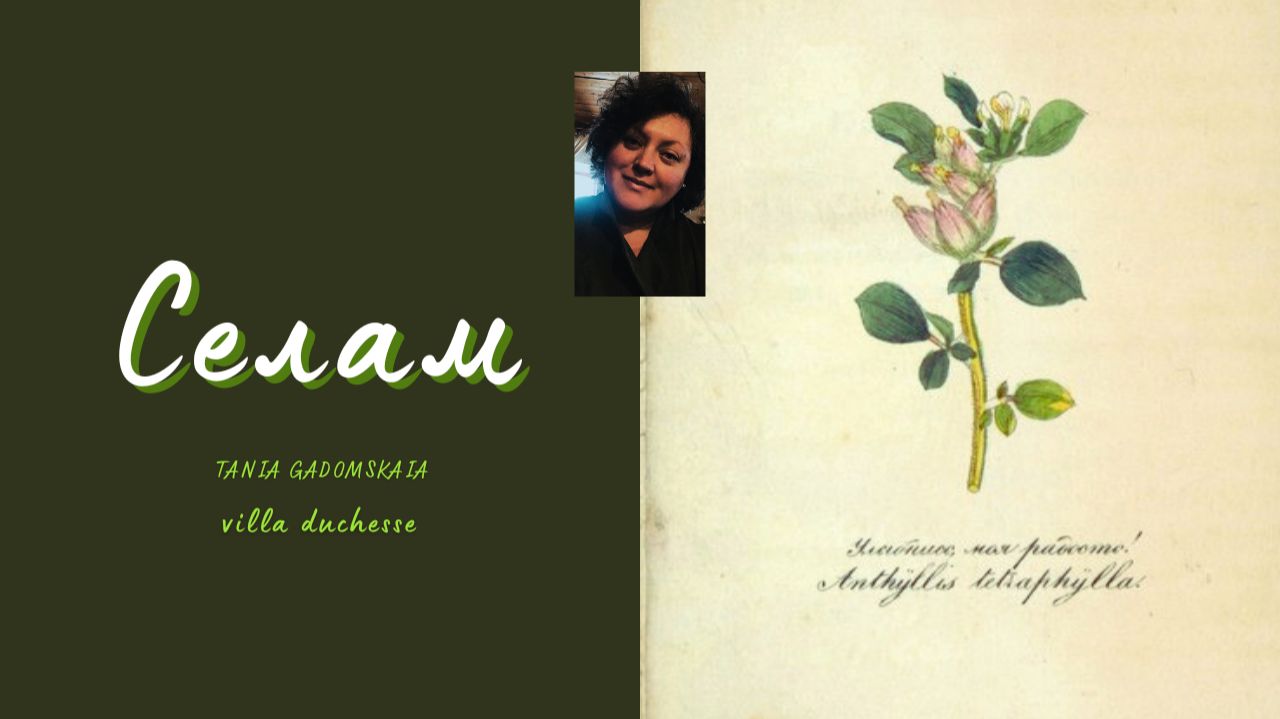 Язык цветов. Ознобишин Д. П.