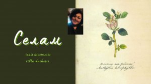 Язык цветов. Ознобишин Д. П.