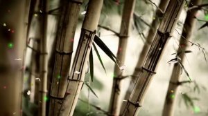 Серебрится седина - авторская песня с ии