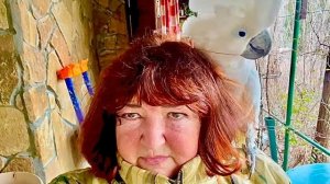 НЕОЖИДАННО! Мы пошли с Кешей погулять но увидя Дениса Кеша залез мне на голову, а потом как РВАНУЛ..