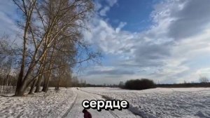 Турист из Японии снял на камеру поступок русской бабушки. «Я думал, это миф, пок