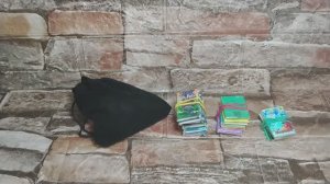 Обзор на Книги для кукол и магический шар