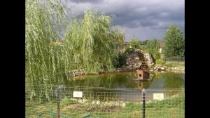 01610-Птичий питомник_20.08.2011 г.