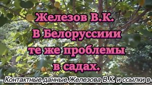 Железов В.К. В Белоруссии те же проблемы в садах.