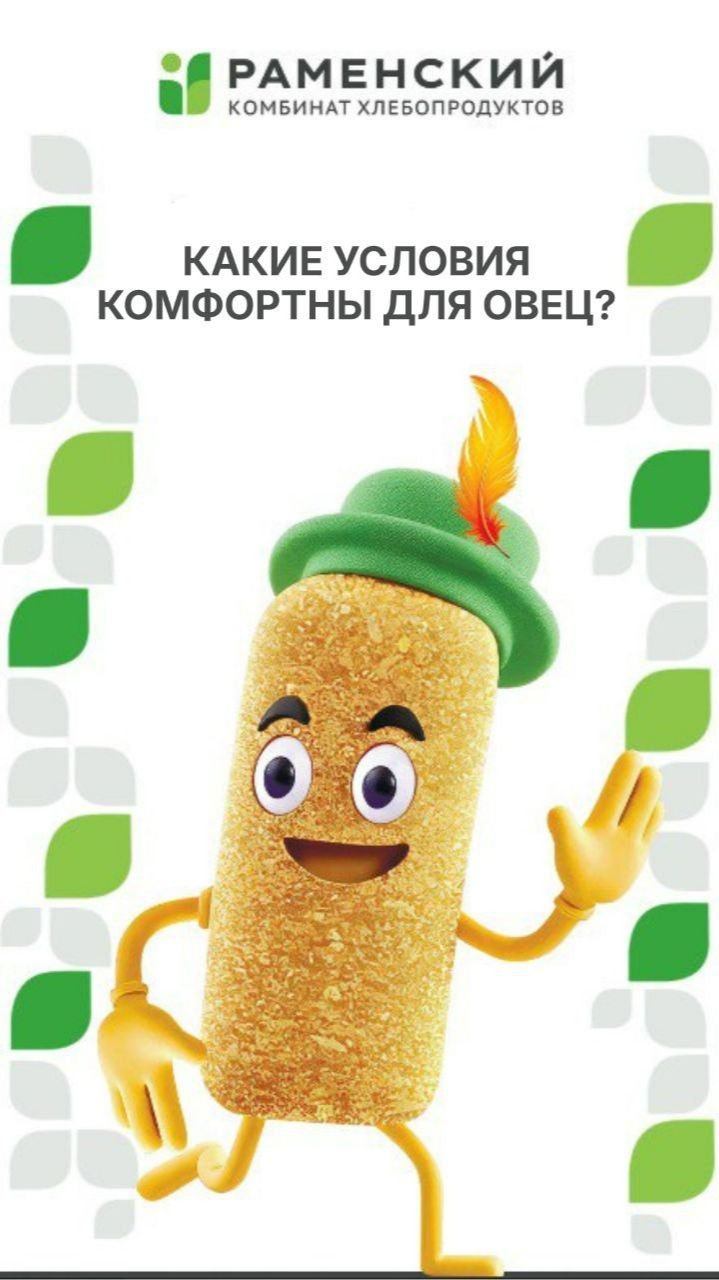 Овцы – неприхотливые, но даже им нужны комфортные условия содержания!