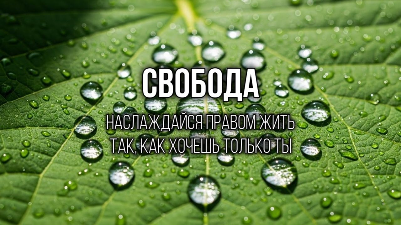 ДВИЖЕНИЕ: Любой шаг вперед приближает тебя к радости