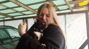 Мари Мистик Шеридан нашел НОВЫЙ дом 04/03/26 #купить_щенка_чихуахуа_продаю +79215950848