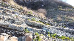 Ольгинка. Мыс Гязнова