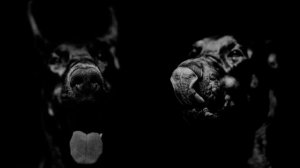 Техно Музыка -Techno 2026 - Progressive House New Techno Music