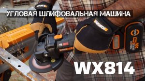 Аккумуляторная УШМ WORX WX814